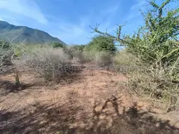 Vista 10