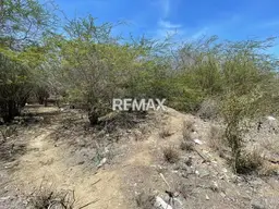 View 6