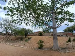 Vista 8