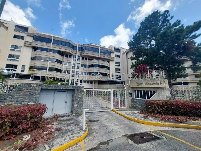 Apartamento (1 Nivel) en Alquiler en Miranda, Distrito Metropolitano - 36