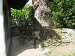 View 29