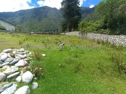 View 19