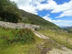View 21