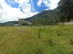 View 27