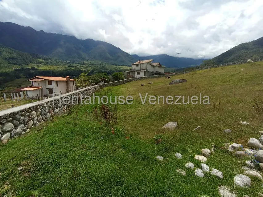 Terreno (Residencial) en Venta en El Valle, Merida - 3