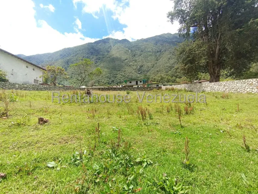 Terreno (Residencial) en Venta en El Valle, Merida - 31