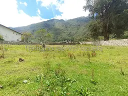 View 31