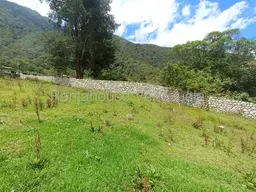 View 32