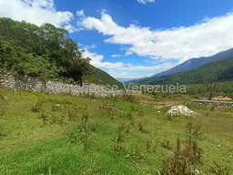 View 33