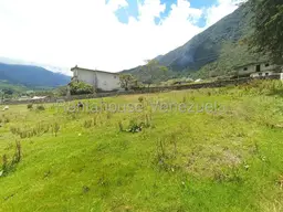 View 39