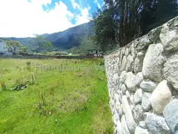 View 40