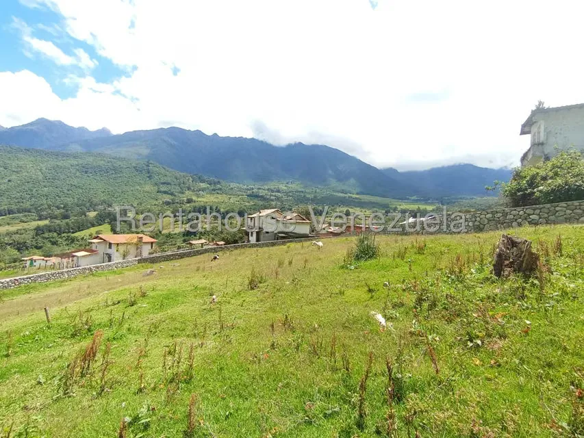 Terreno (Residencial) en Venta en El Valle, Merida - 41