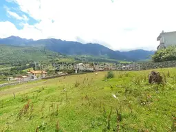 View 41