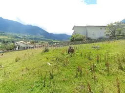 View 45