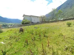 View 49
