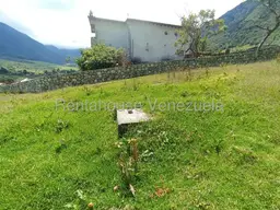 View 50
