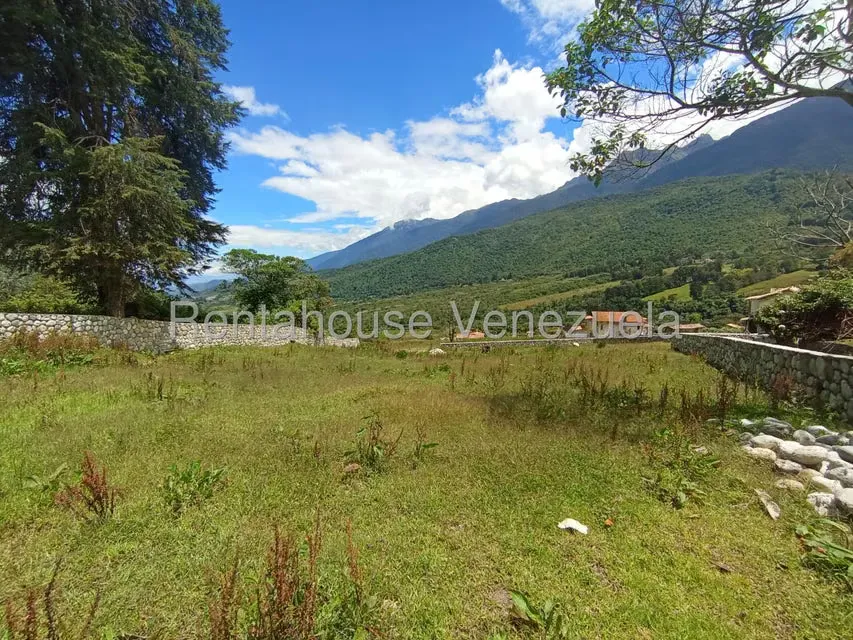 Terreno (Residencial) en Venta en El Valle, Merida - 57