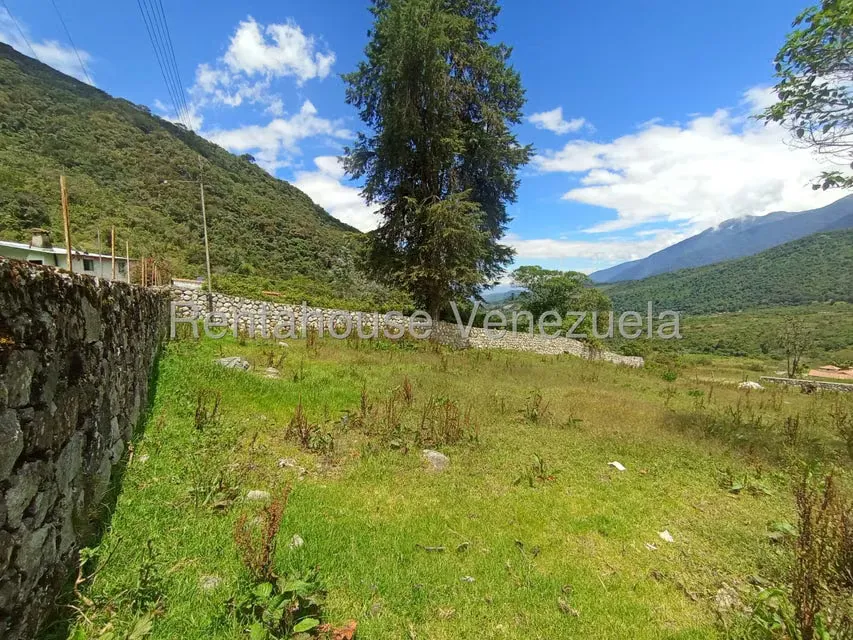 Terreno (Residencial) en Venta en El Valle, Merida - 61