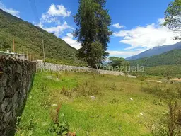 View 61