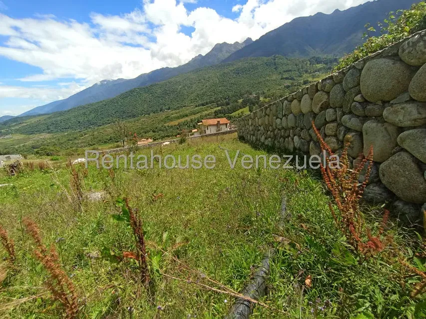 Terreno (Residencial) en Venta en El Valle, Merida - 62