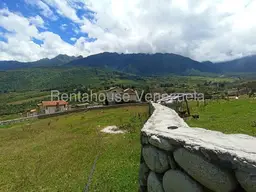 View 63