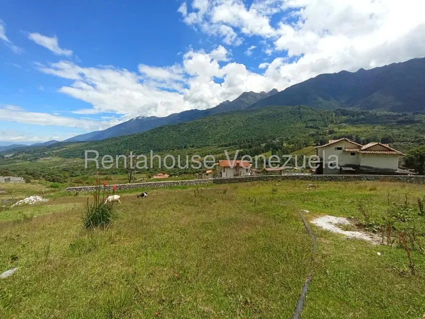 Terreno (Residencial) en Venta en El Valle, Merida - 65