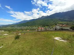 View 65