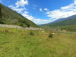 View 66