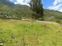 View 67