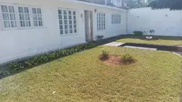 Vista 1