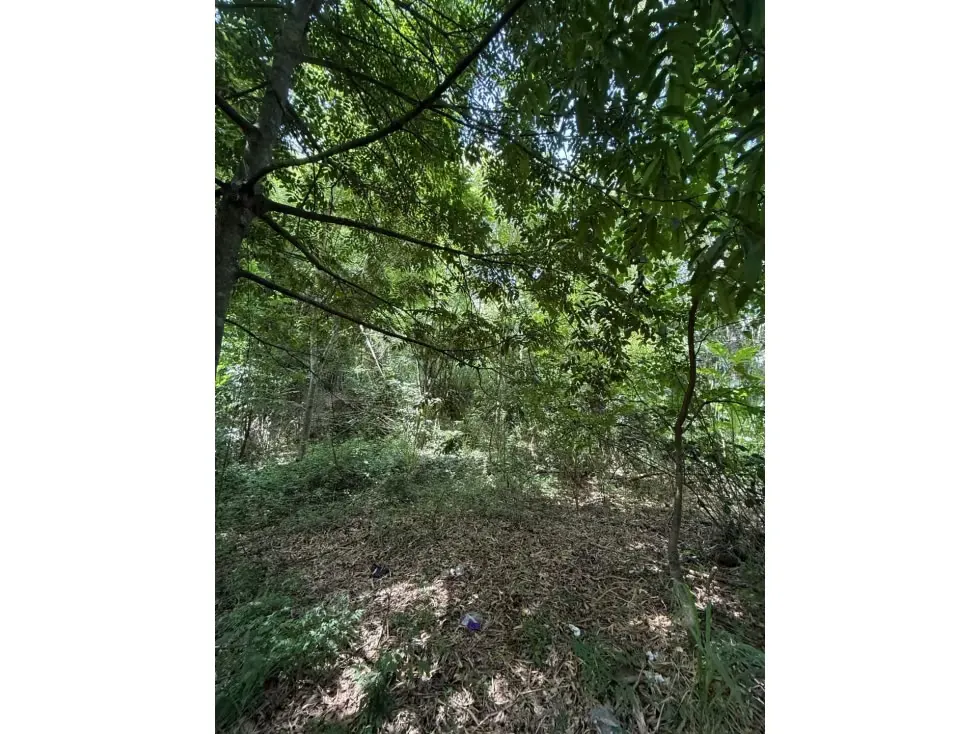 Se Vente Terreno en Mariche/La Miranda - 5