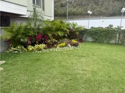 Vista 1