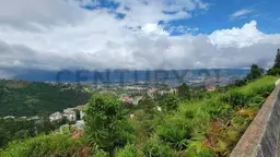 Vista 31