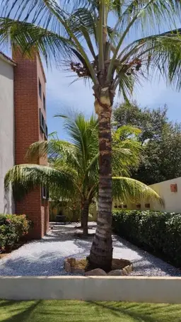 Vista 15
