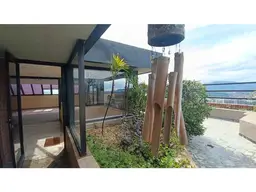 Vista 24