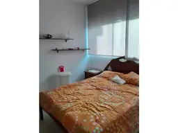 Vista 33