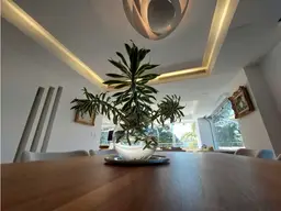 Vista 19