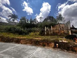 Vista 4