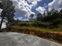 Vista 10