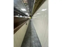 Vista 5