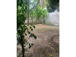 View 1