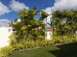 Vista 30