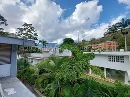 View 50