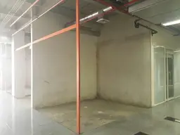 Vista 5