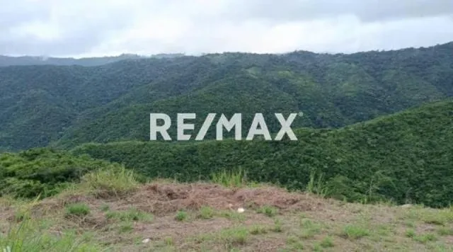 Terreno en Venta - La Lagunita