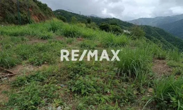 Terreno en Venta - La Lagunita - 2