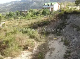 Vista 3