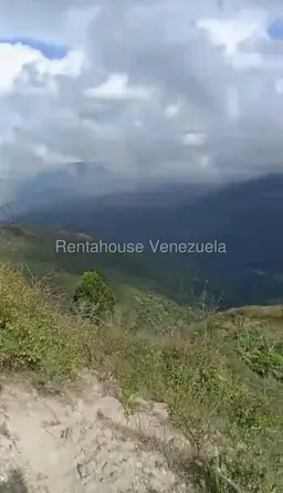 Vista 5