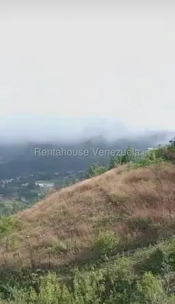 Vista 6