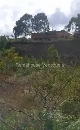 Vista 7